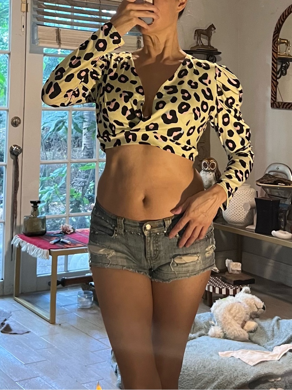 Leopard Print Long-Sleeve Crop Top by Venus